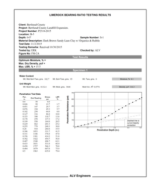 Sample LBR Data Summary Report